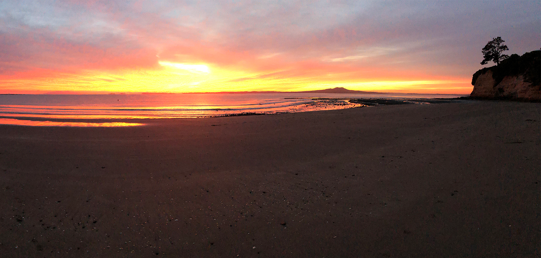 SHORELINES header